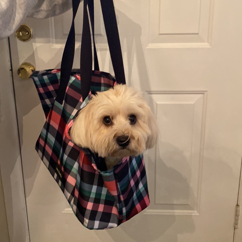 Vera Bradley Dog carrier bag.